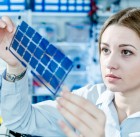 Development of Film solar cell